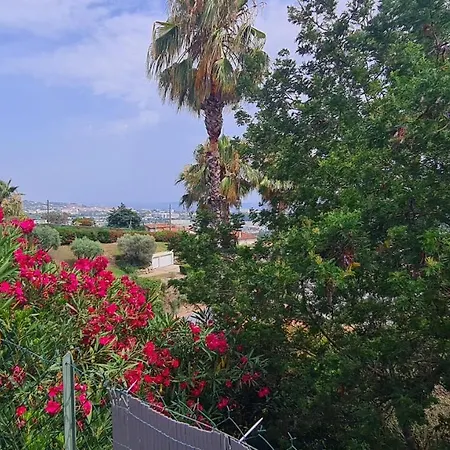 Studio Avec Vue Panoramique Et Piscine A Debordement *